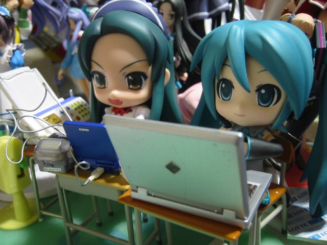 �鲻�����_2